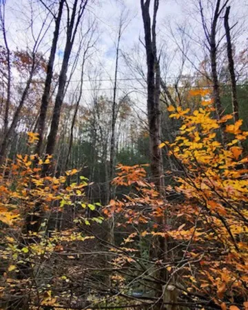 $305,000 | 0 Concord Road, Keene, NH 03431