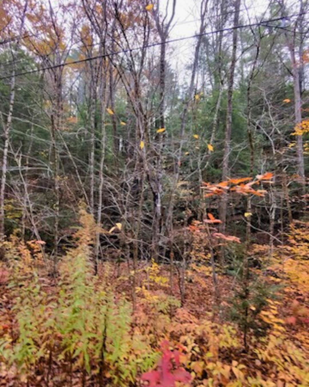 0 Concord Road Keene, NH 03431 - Photo 7 of 10