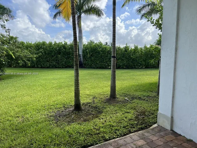 a view of a yard with a palm tree
