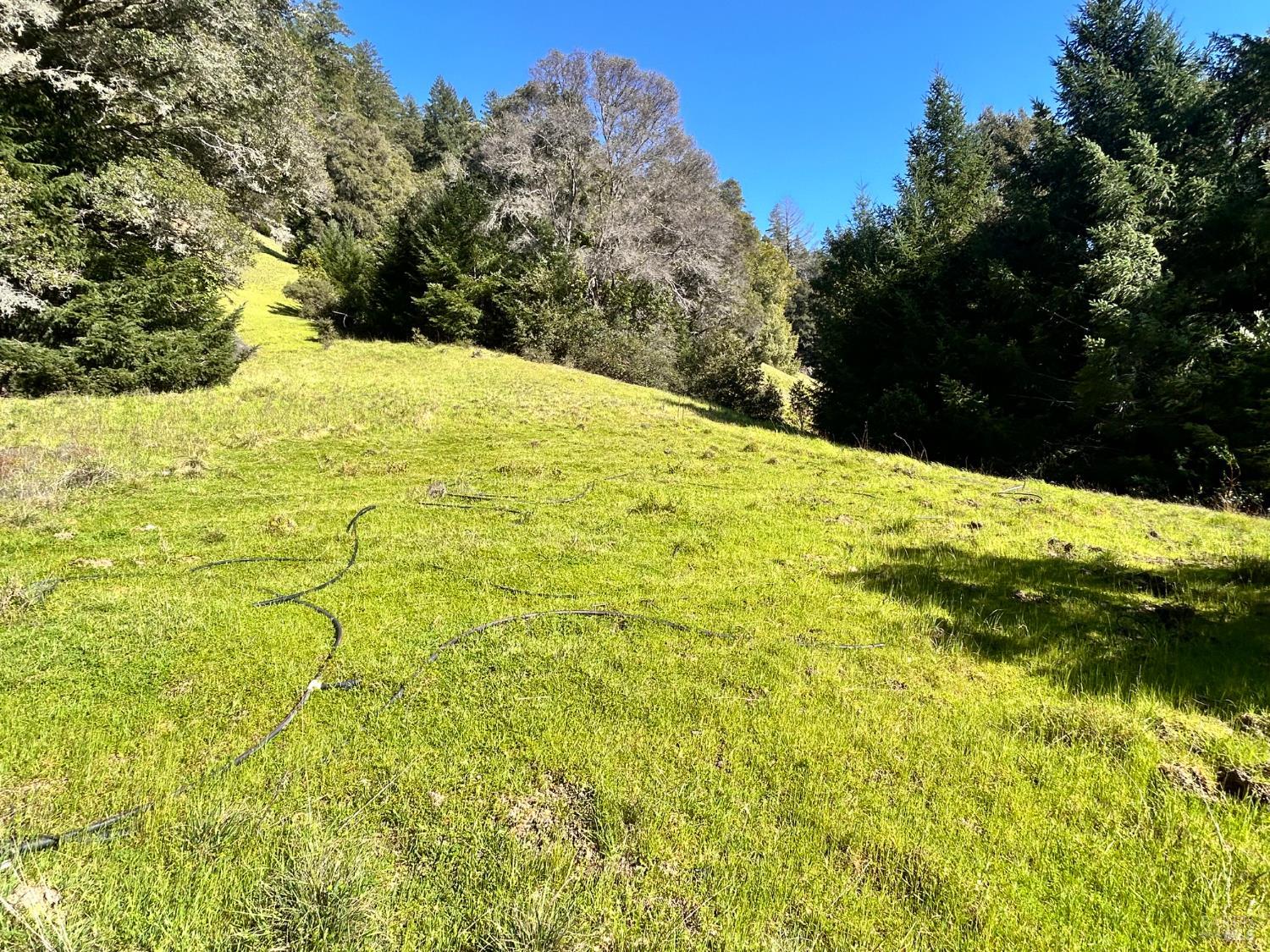 4100 Hansen Ranch Road Garberville, CA 95542 - Photo 2 of 22