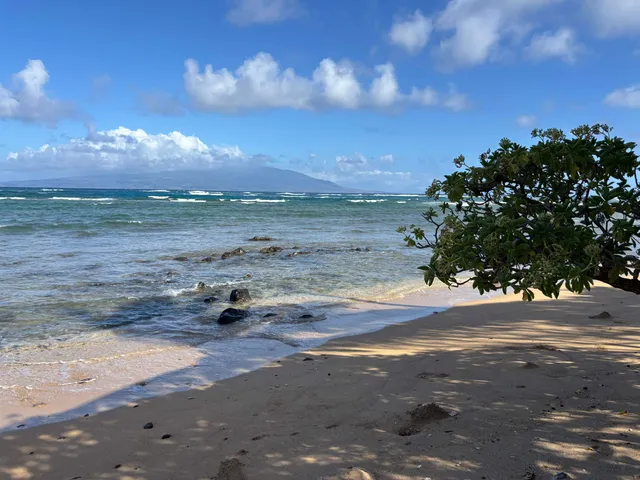 a view of a street with an ocean view