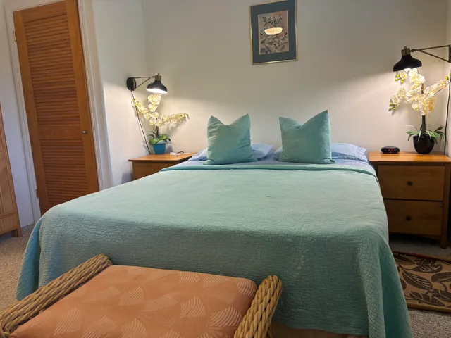 a bed sitting in a bedroom next to a window and potted plant