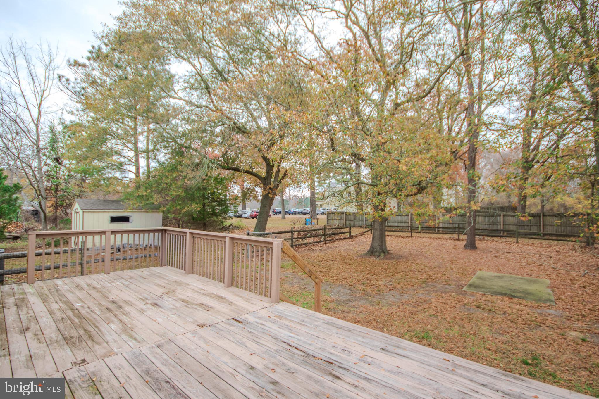 3887 Texas Road Bivalve, MD 21814 - Photo 27 of 34 a view of a backyard with large trees