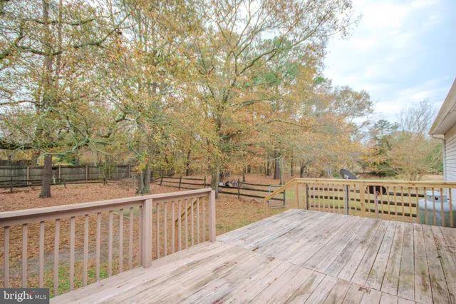 a view of backyard with wooden fence and a large tree