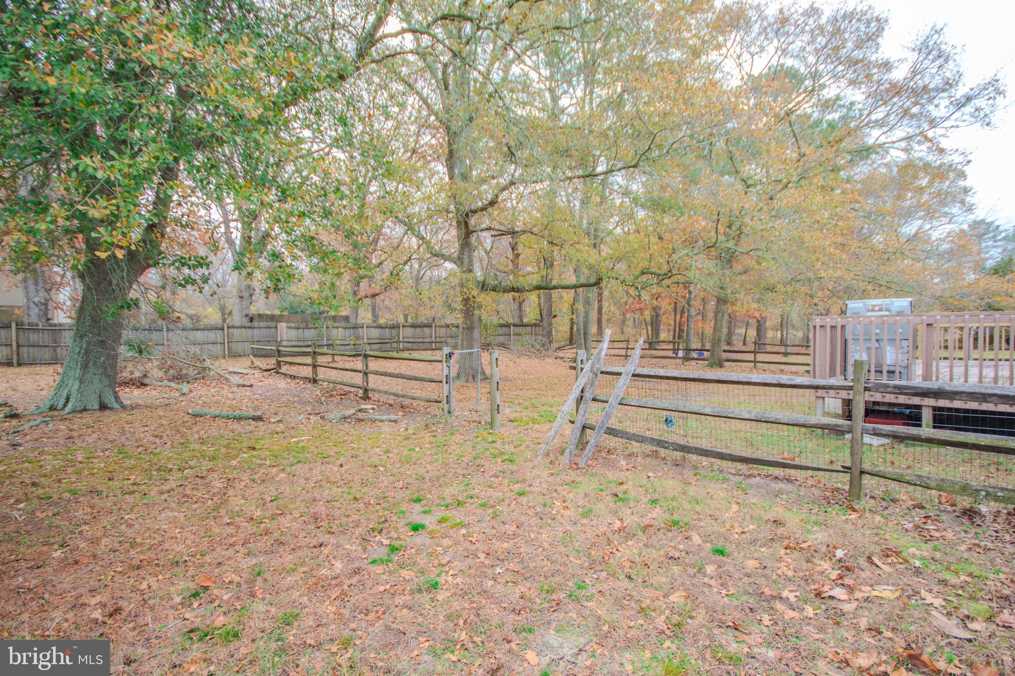 3887 Texas Road Bivalve, MD 21814 - Photo 29 of 34 a view of backyard with wooden fence and a large tree