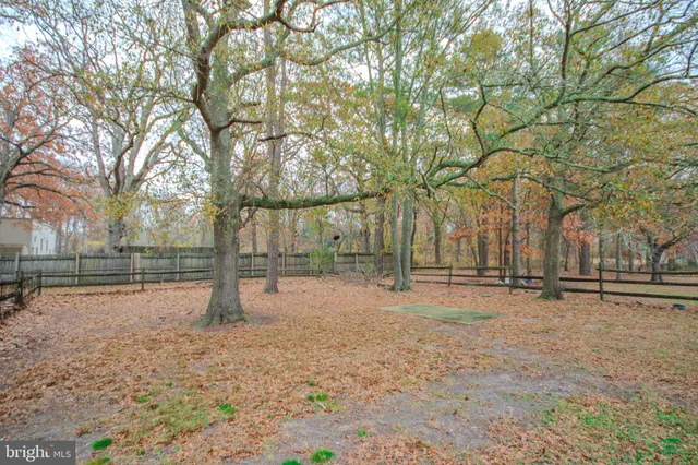 a view of backyard of house