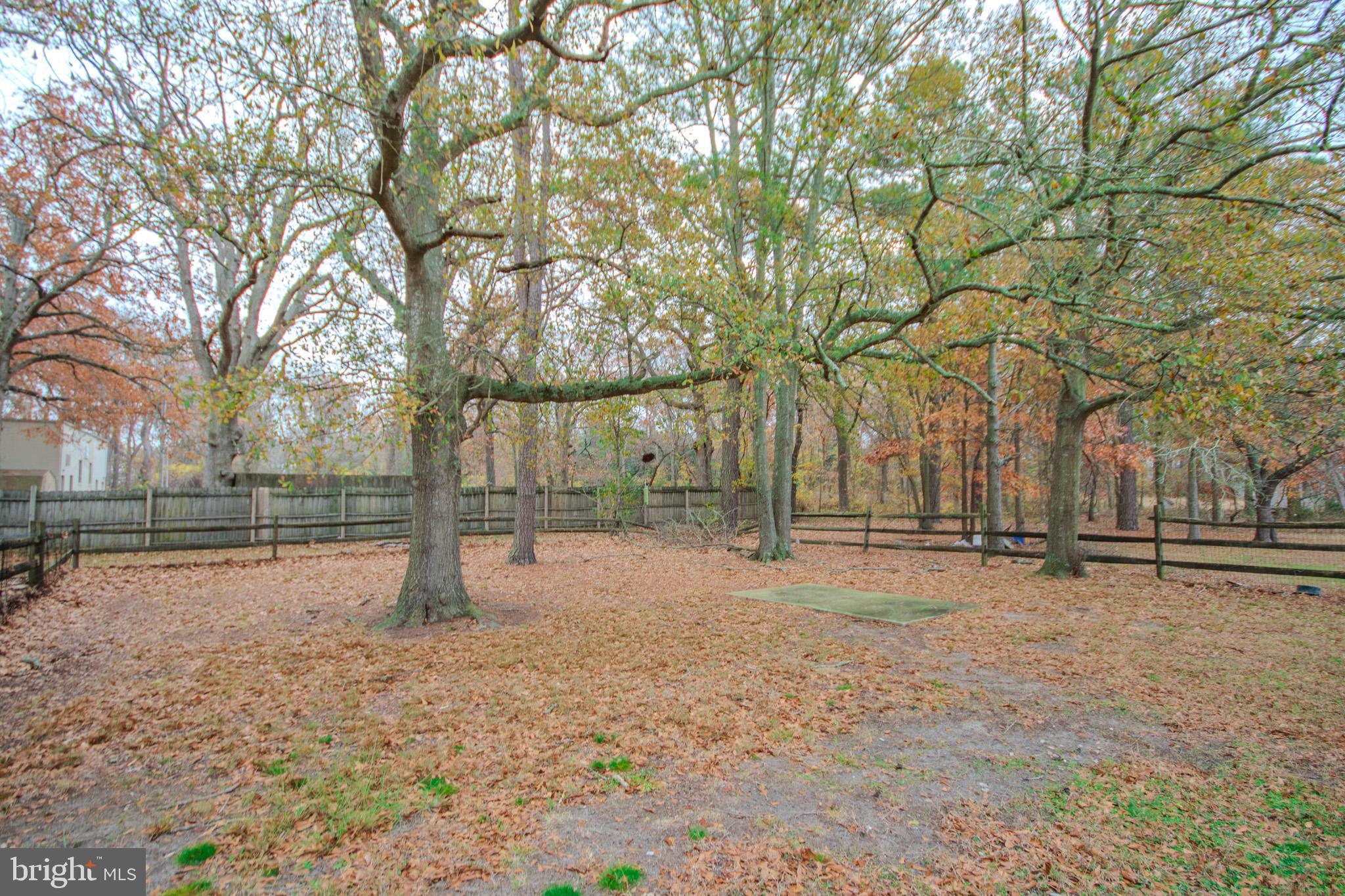 3887 Texas Road Bivalve, MD 21814 - Photo 32 of 34