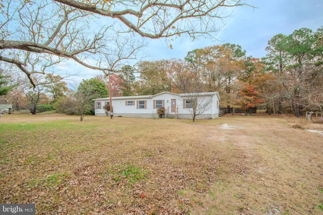 a view of house with backyard and trees
