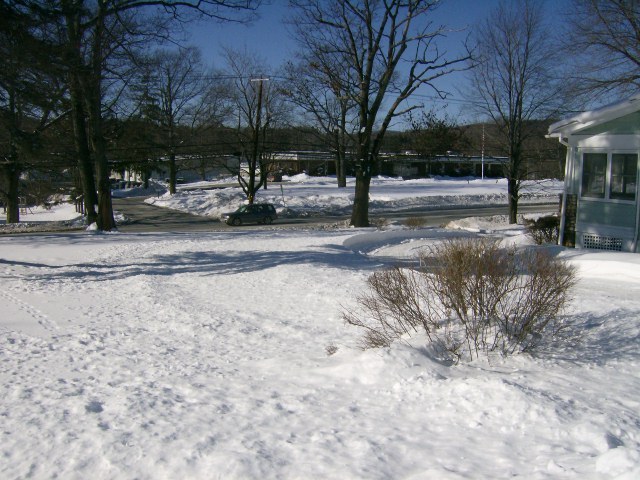 108 Cheshire Road Pittsfield, MA 01201 - Photo 11 of 11 Yard