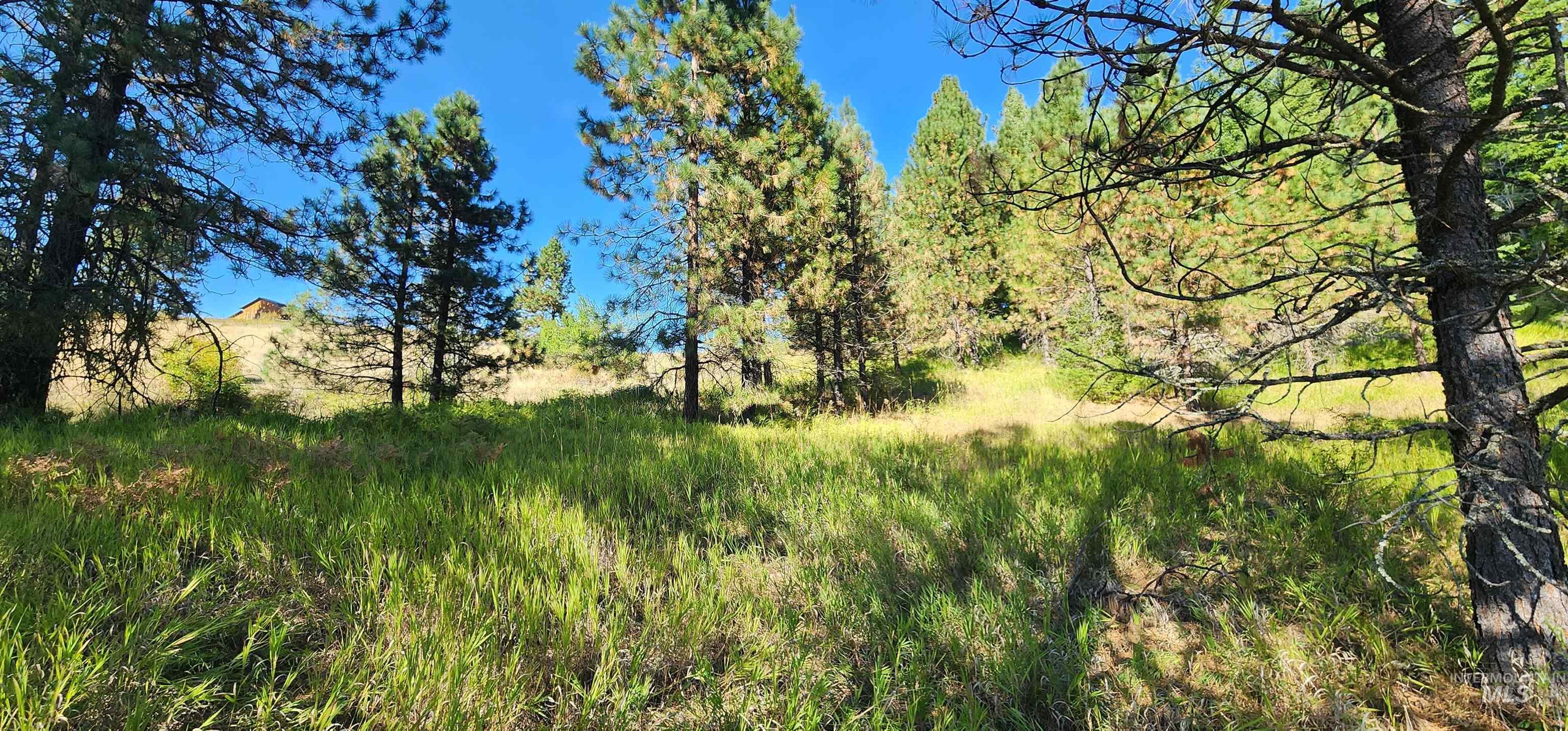 Tbd Red Fir Road Kooskia, ID 83539 - Photo 23 of 34