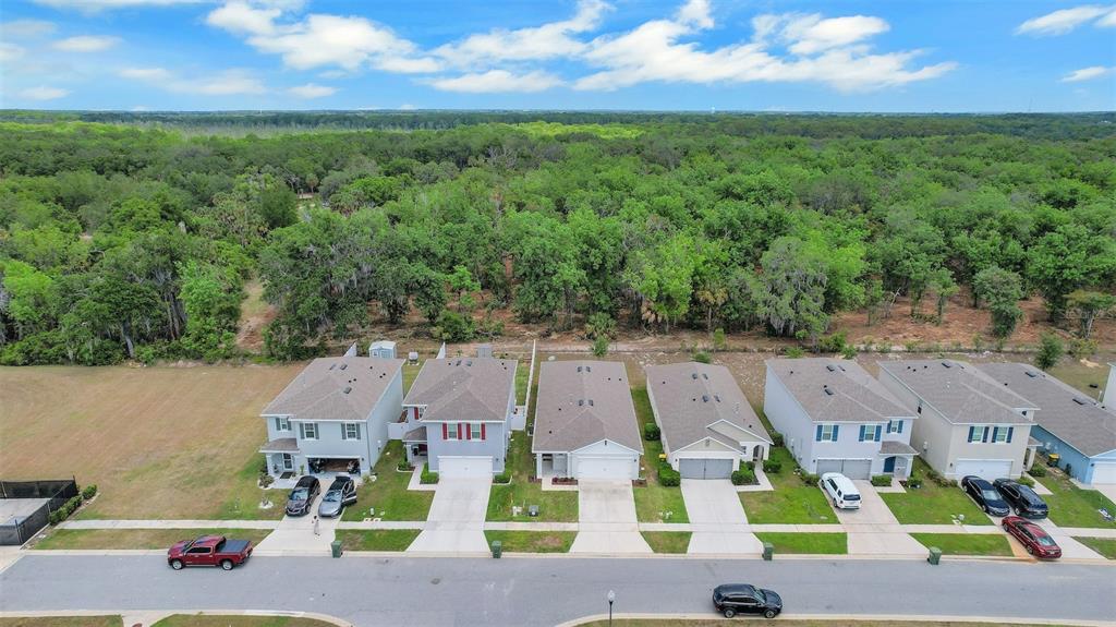 30112 Armenia Road Leesburg, FL 34748 - Photo 5 of 27