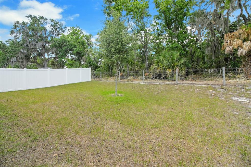 30112 Armenia Road Leesburg, FL 34748 - Photo 7 of 27