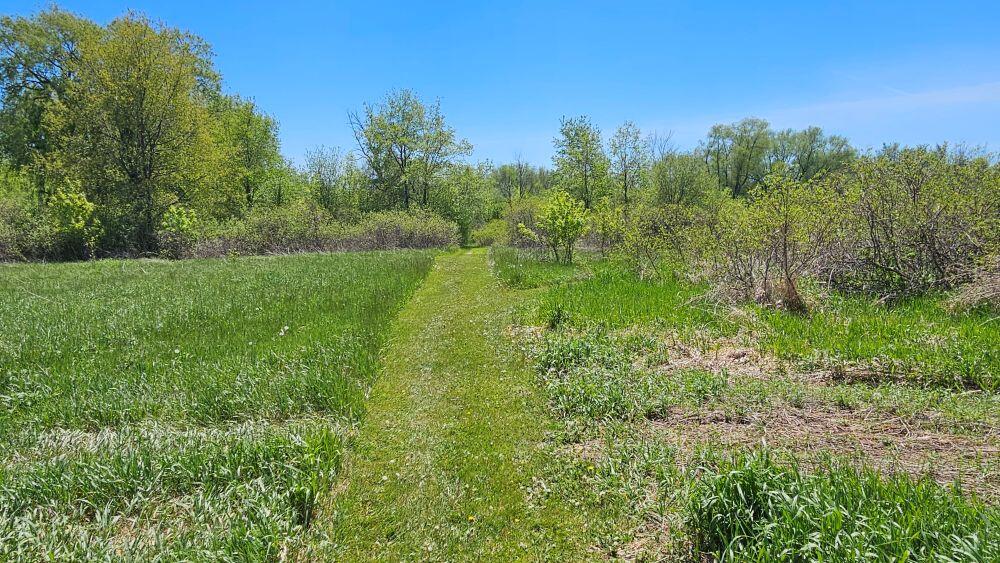 W5090 Navan Road Watertown, WI 53094 - Photo 18 of 52 7