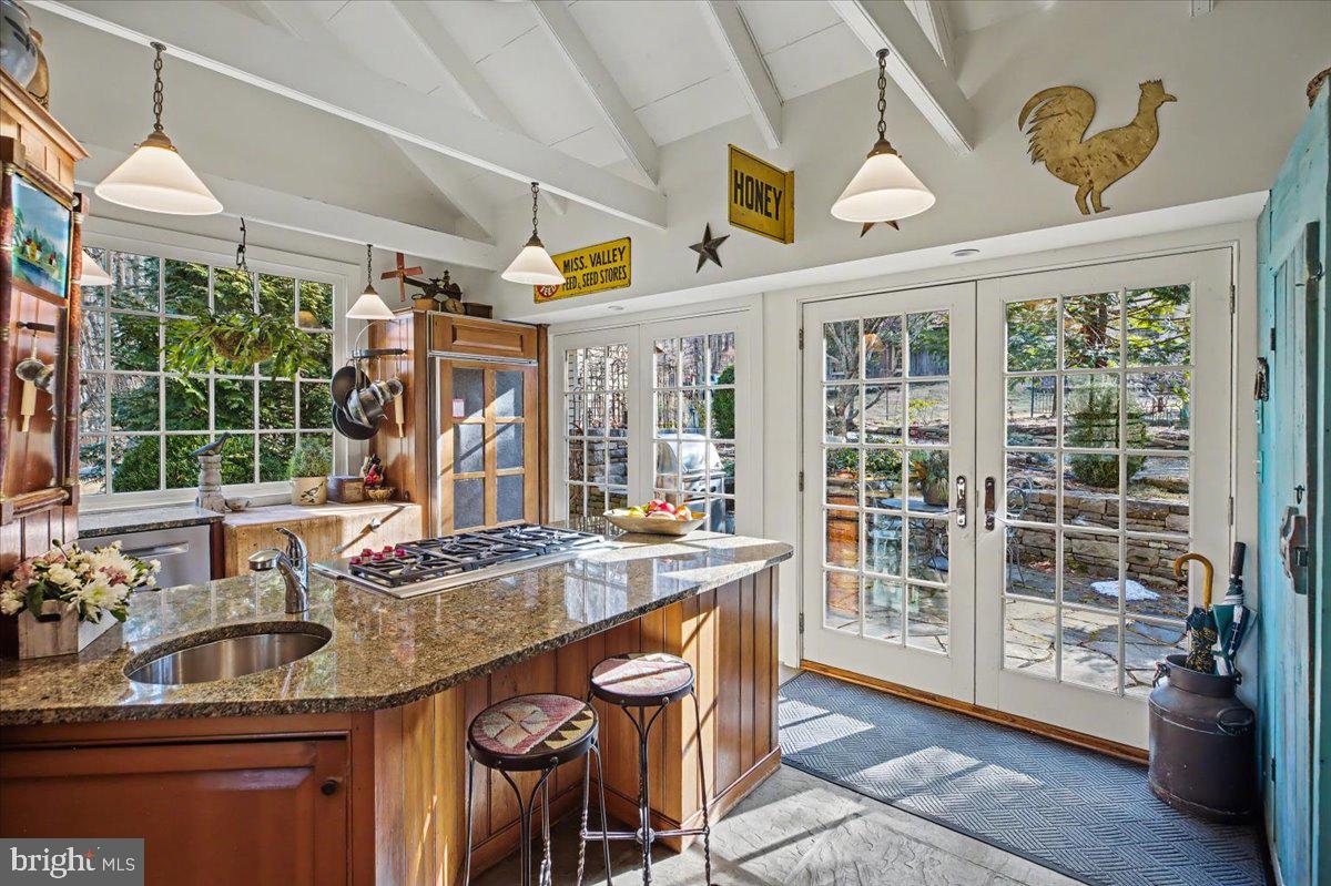 6338 Old Carversville Road Carversville, PA 18913 - Photo 30 of 56 a kitchen with stainless steel appliances granite countertop a sink and cabinets