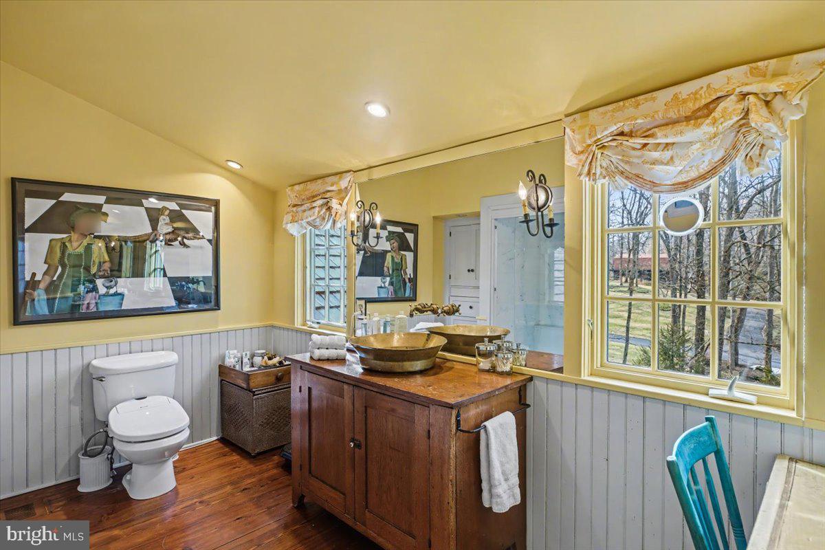 6338 Old Carversville Road Carversville, PA 18913 - Photo 40 of 56 a bathroom with a sink a mirror and a toilet