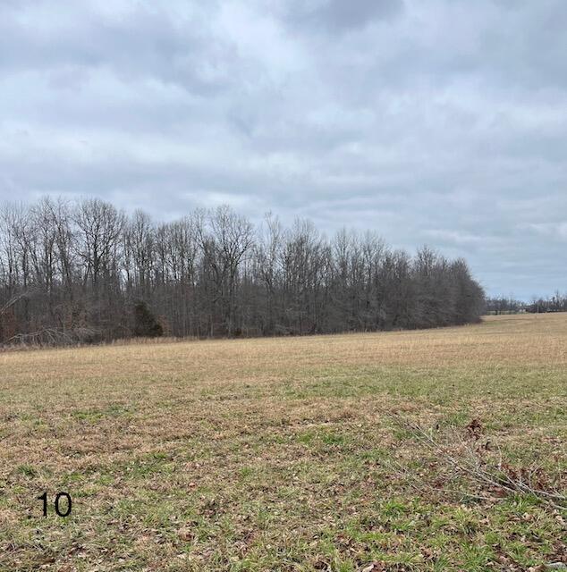 10 Dug Hill Road Brodhead, KY 40409 - Photo 1 of 5 IMG_1304