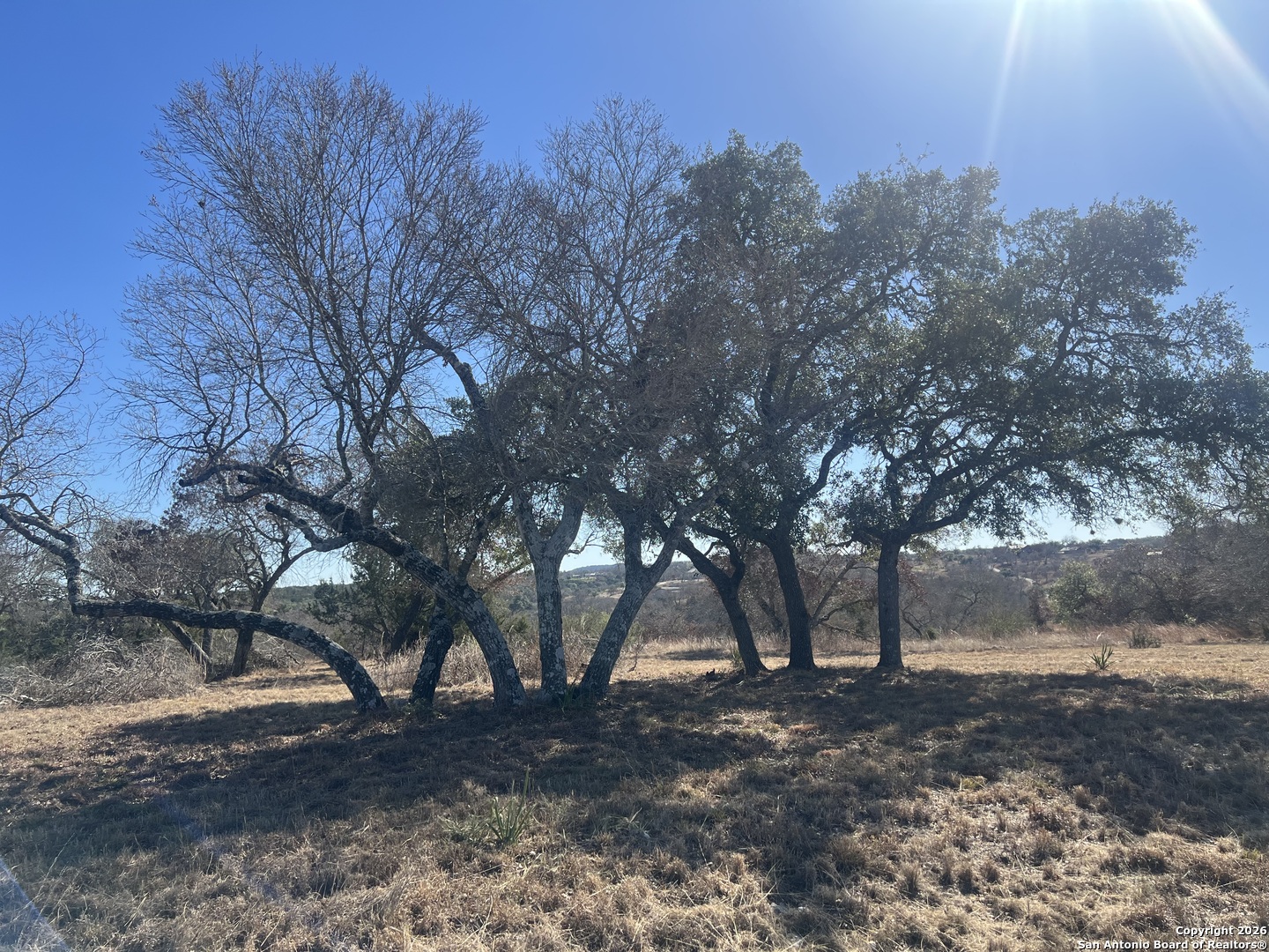 2 Zinfandel Comfort, TX 78013 - Photo 1 of 1 a view of a forest with trees in the background
