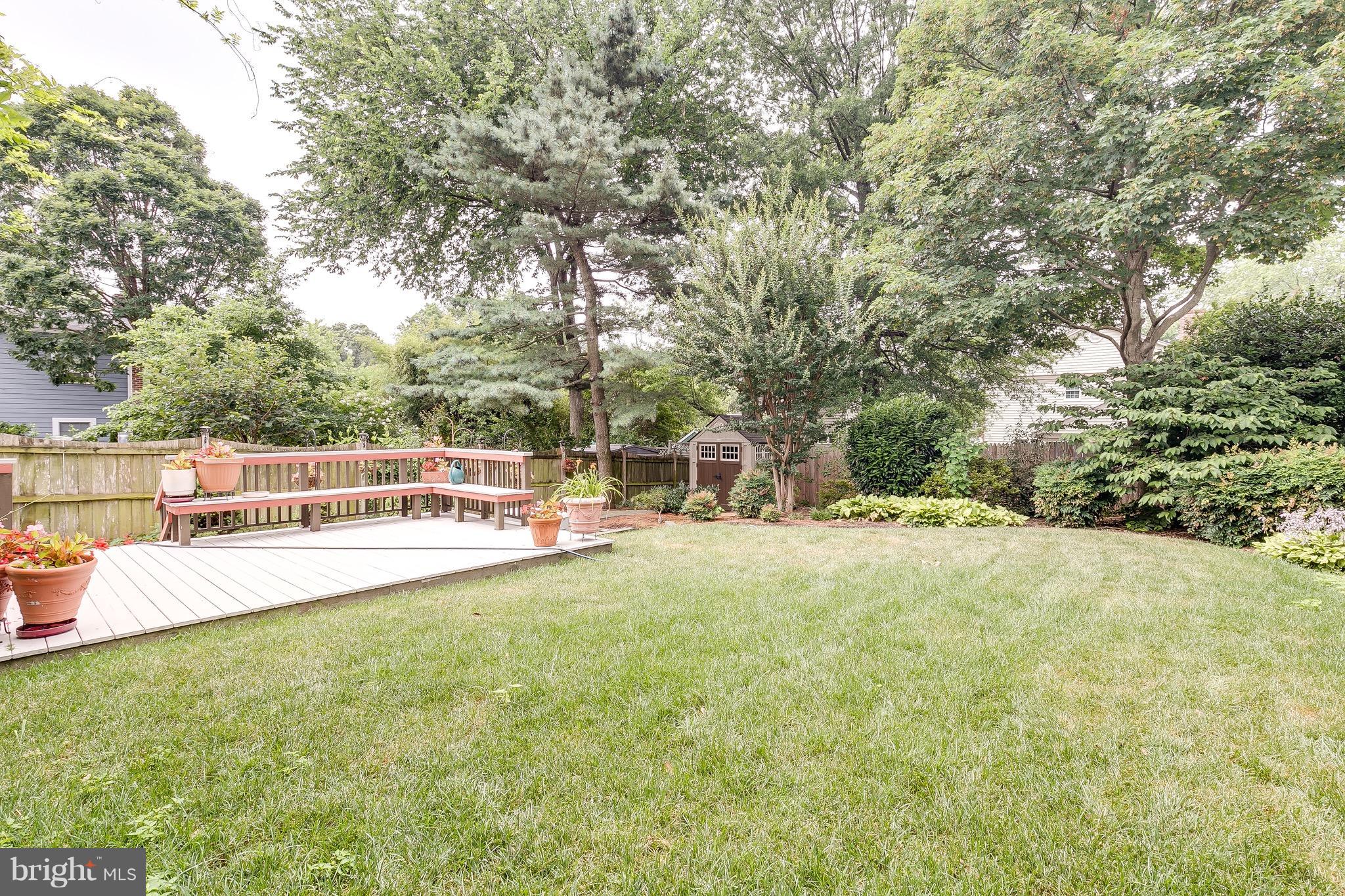 2404 Cameron Mills Road Alexandria, VA 22302 - Photo 26 of 26 Professionally Landscaped Yard