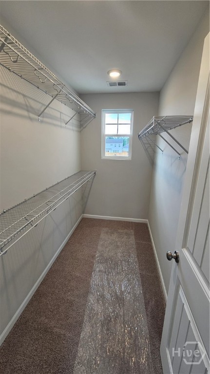 214 Hasty Point Road Savannah, GA 31407 - Photo 9 of 27 Large Walk In Closet in Primary Bedroom