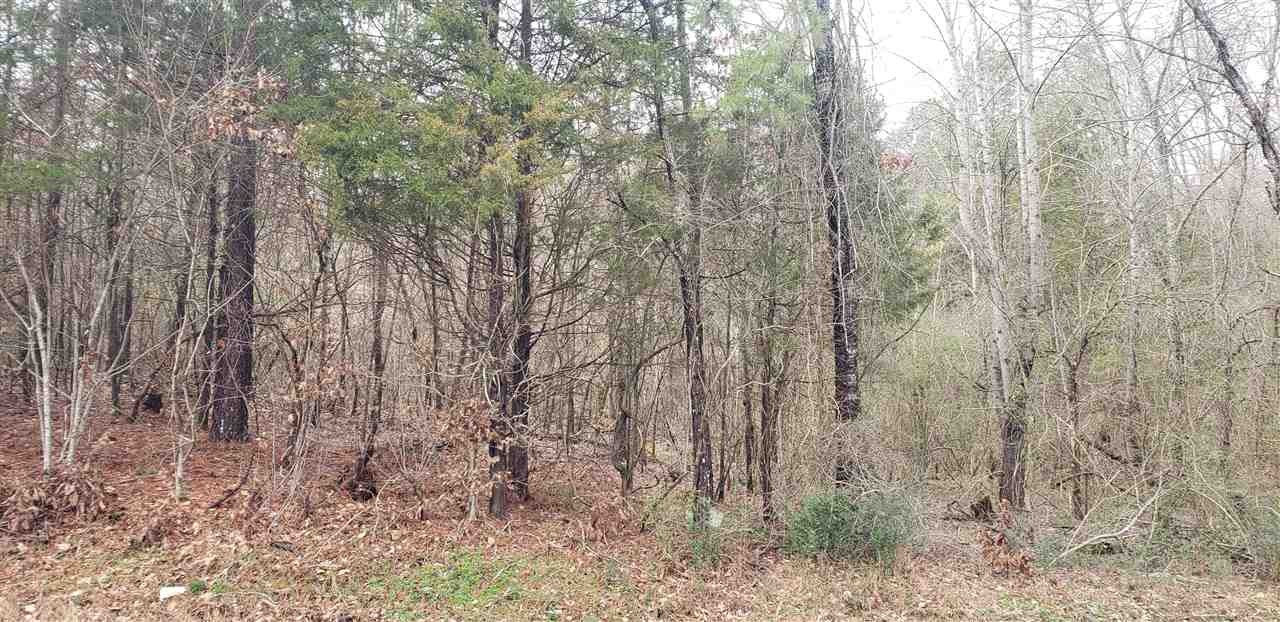 0 Eads Bluff Road Northwest Georgetown, TN 37336 - Photo 3 of 3 a view of a yard with trees in the background