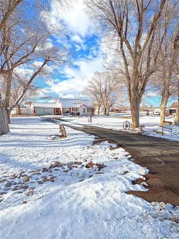 a view of dirt yard with a large tree