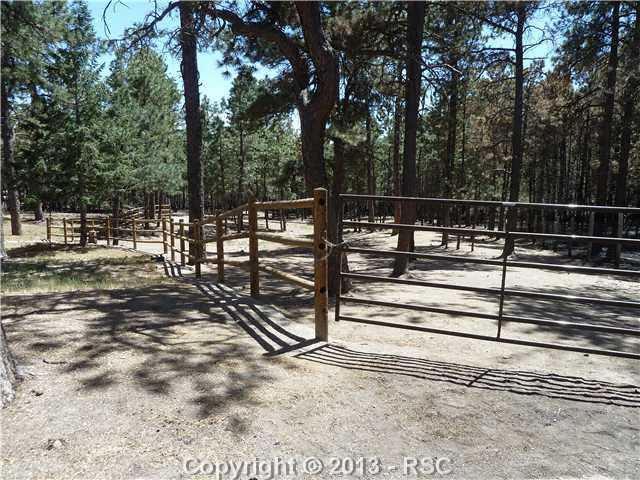 9080 Hardin Road Colorado Springs, CO 80908 - Photo 25 of 25