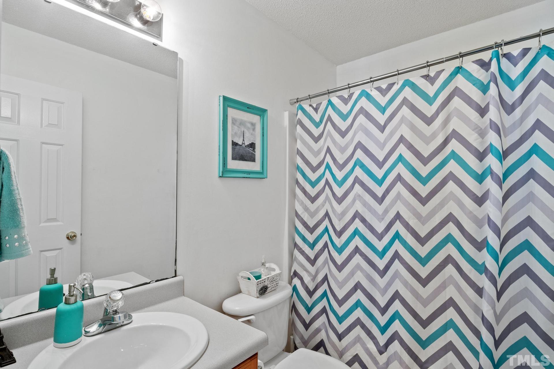4213 Somerset Valley Lane Raleigh, NC 27616 - Photo 4 of 31 a bathroom with a sink and a potted plant
