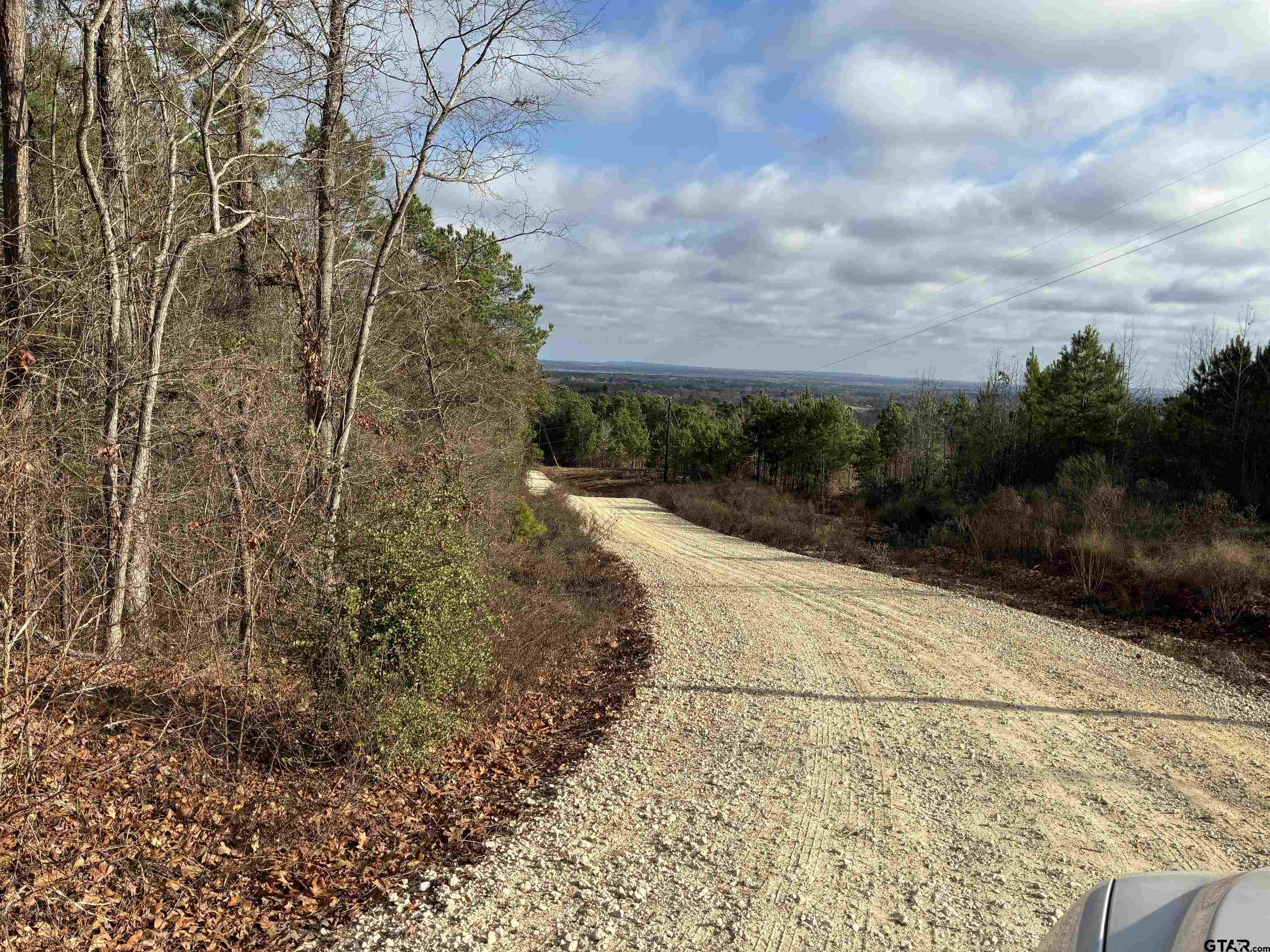 845 George Boulevard Rusk, TX 75785 - Photo 12 of 13