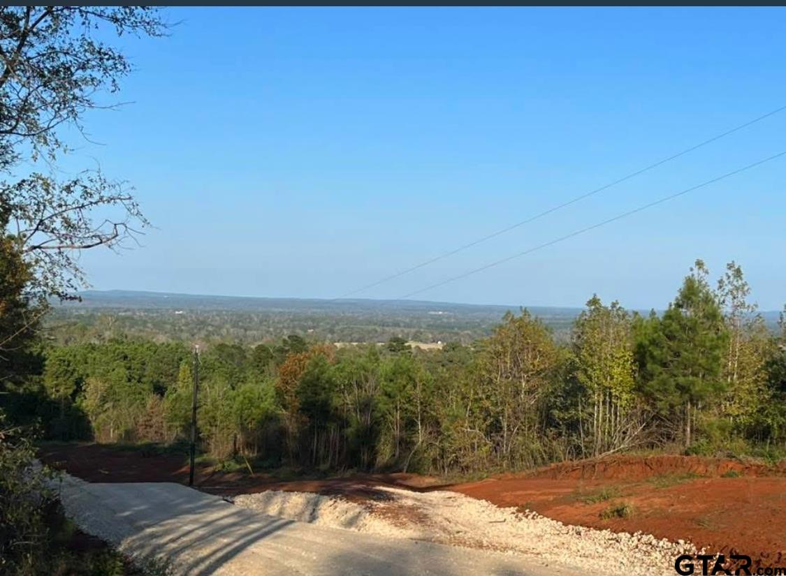 845 George Boulevard Rusk, TX 75785 - Photo 2 of 24 a view of a yard