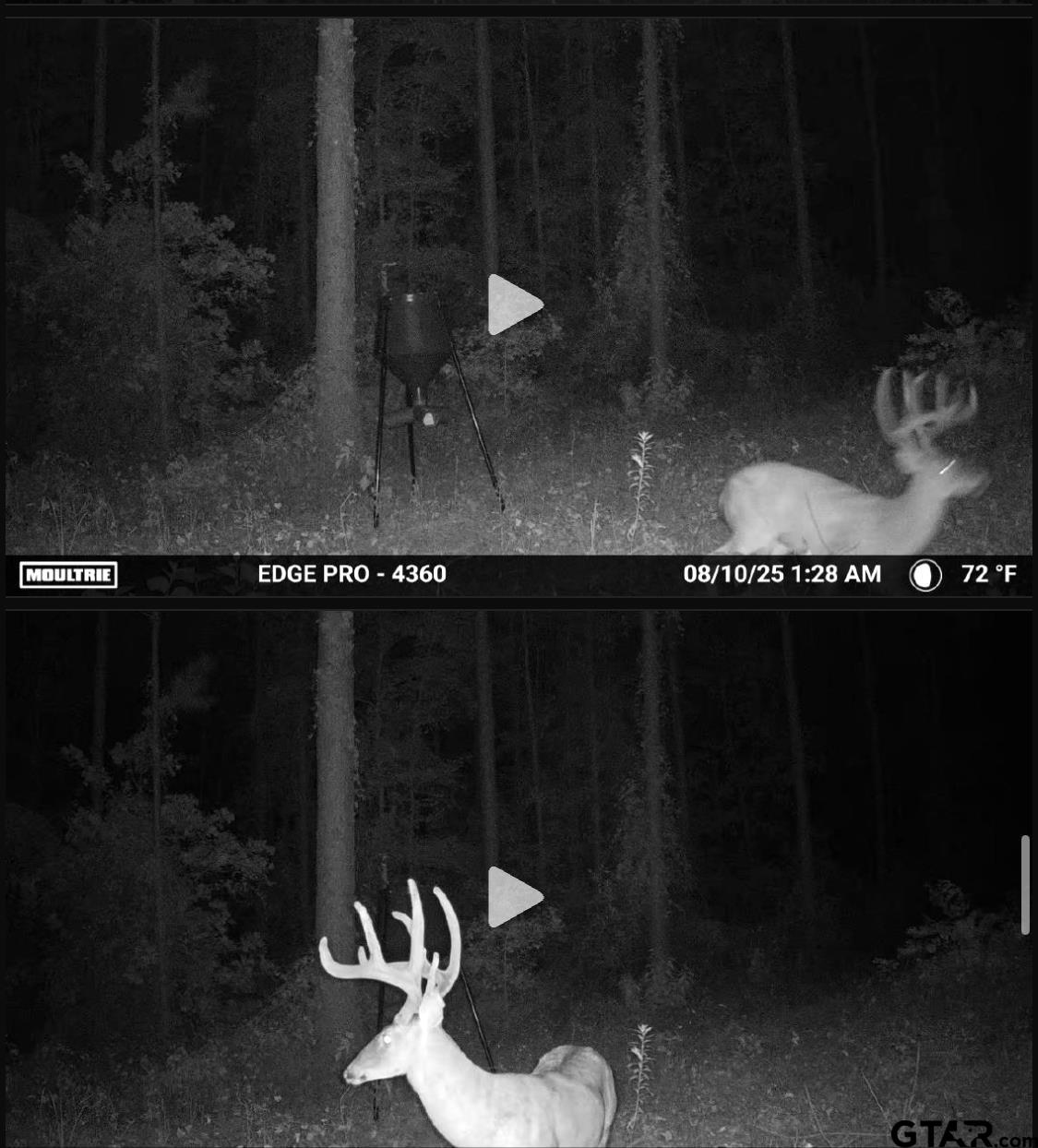 845 George Boulevard Rusk, TX 75785 - Photo 23 of 24 a bathroom with a toilet