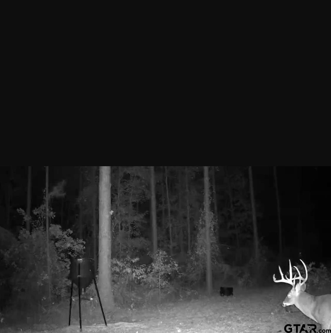 845 George Boulevard Rusk, TX 75785 - Photo 24 of 24 a view of outdoor space and yard