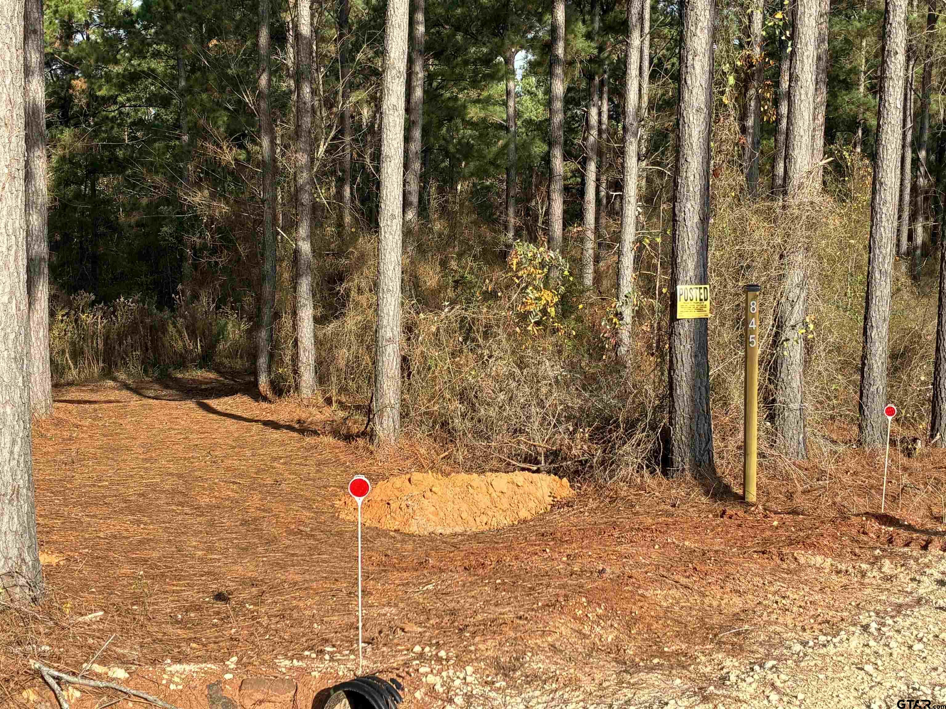 845 George Boulevard Rusk, TX 75785 - Photo 4 of 13