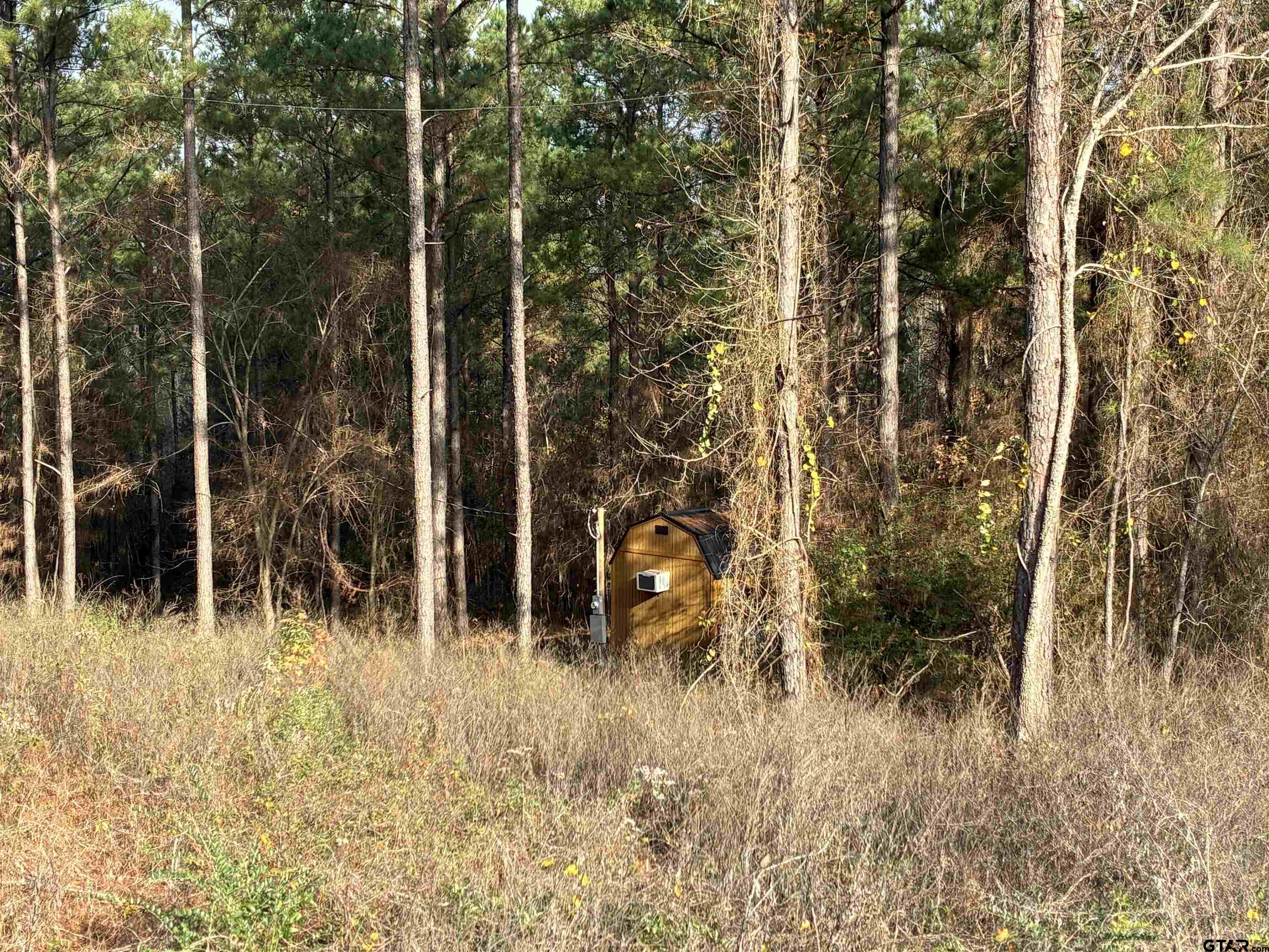 845 George Boulevard Rusk, TX 75785 - Photo 4 of 24 a view of outdoor space and a yard