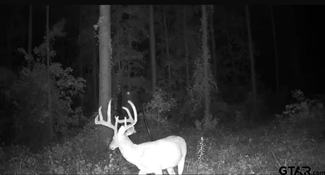 845 George Boulevard Rusk, TX 75785 - Photo 5 of 24 a close view of a sink