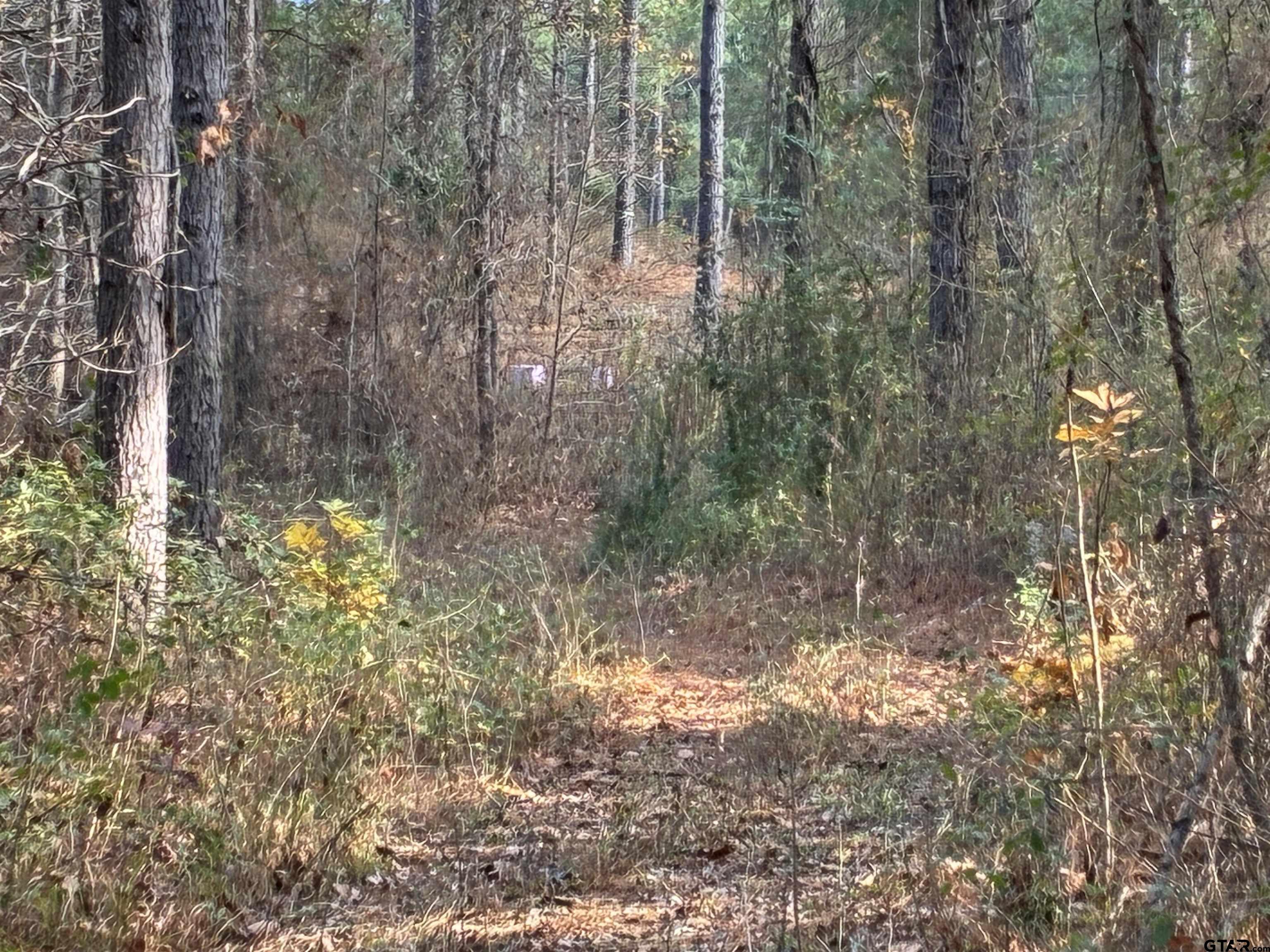 845 George Boulevard Rusk, TX 75785 - Photo 6 of 13