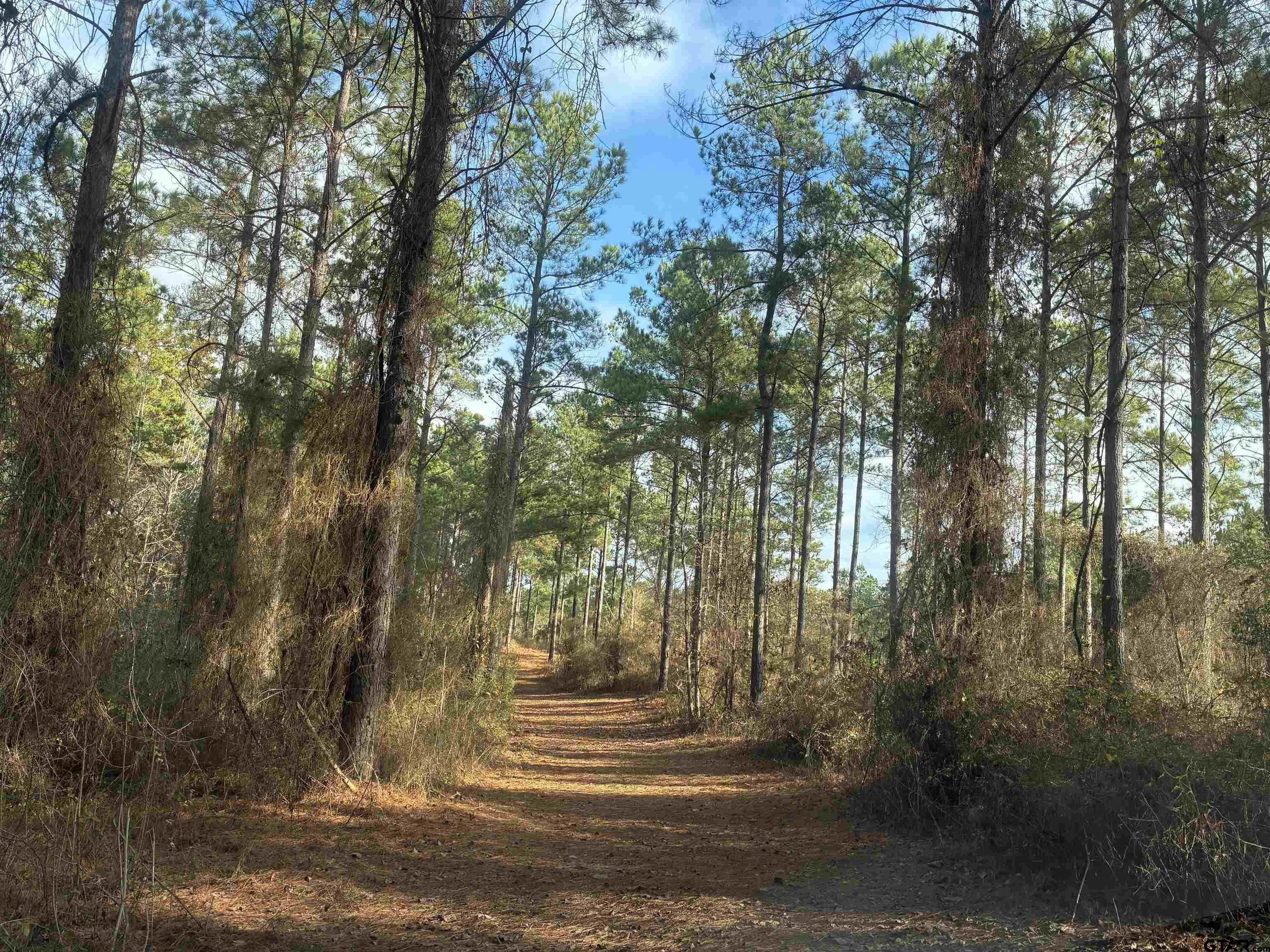 845 George Boulevard Rusk, TX 75785 - Photo 10 of 13