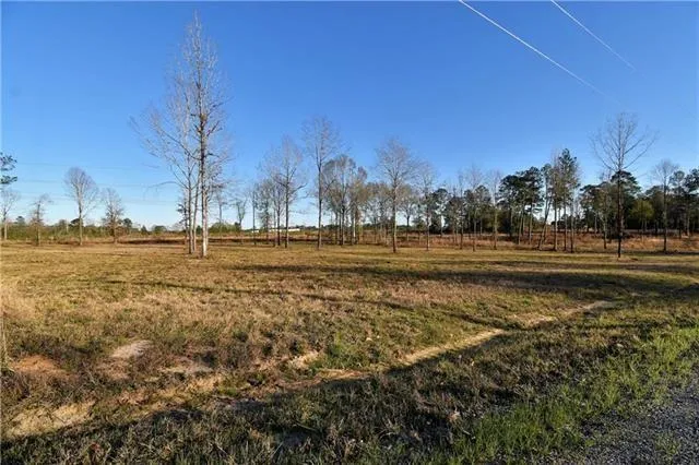 $59,900 | 0 Sophie Lane, Dry Prong, LA 71423