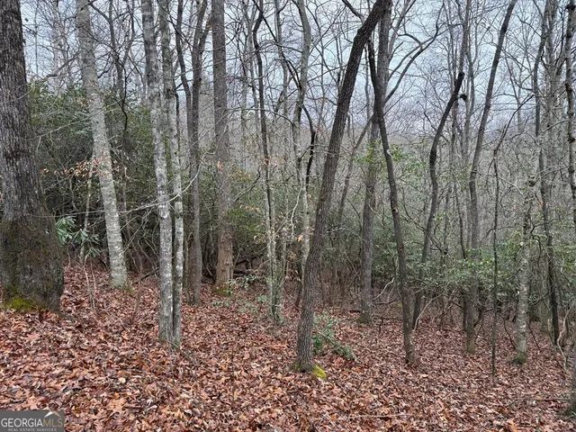 $29,900 | Lot 24 Ideal Acres, Otto, NC 28763