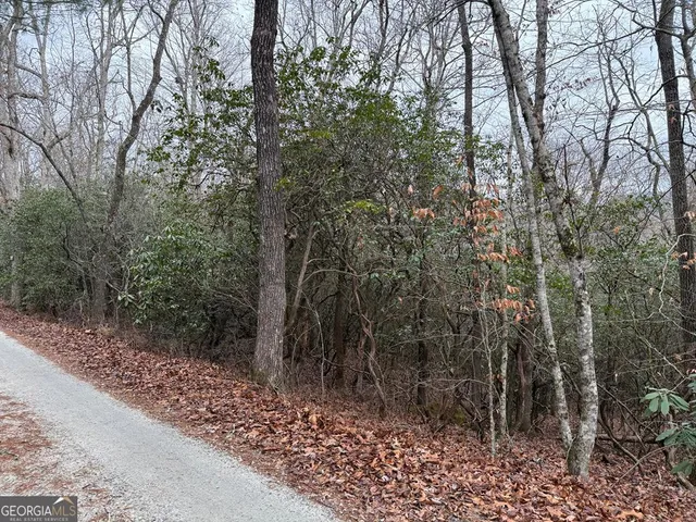 $29,900 | Lot 24 Ideal Acres, Otto, NC 28763
