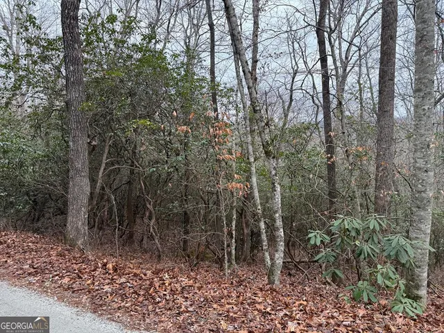 $29,900 | Lot 24 Ideal Acres, Otto, NC 28763