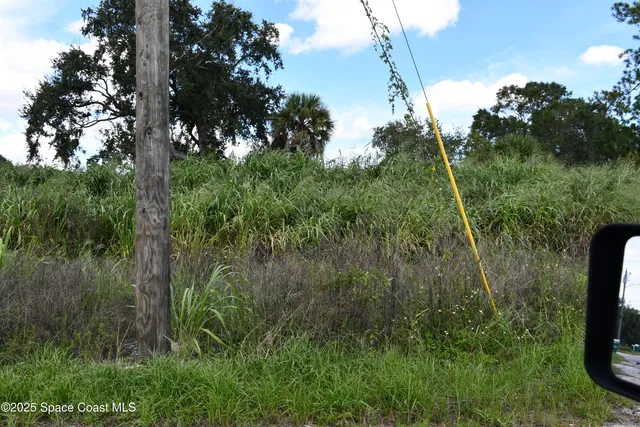 a backyard of a house with large trees and plants