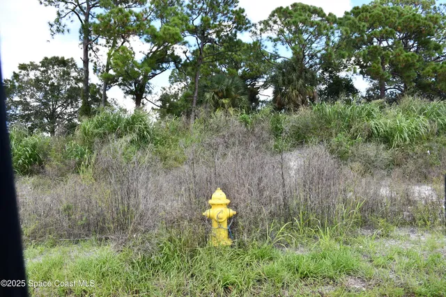 a view of a lake from a yard