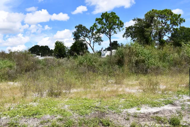 a view of a flower in a garden