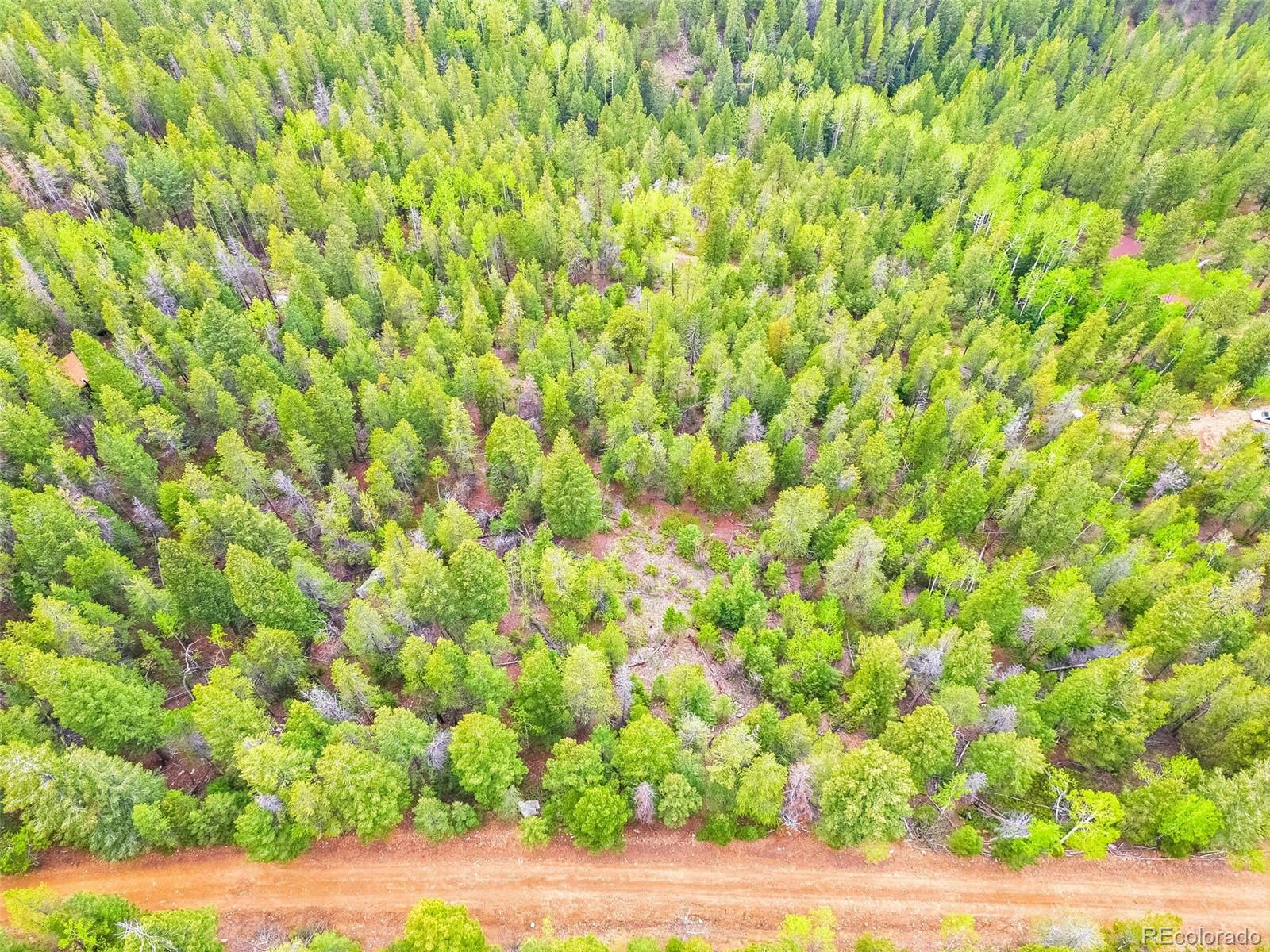 7903 Kunst Road Golden, CO 80403 - Photo 3 of 11