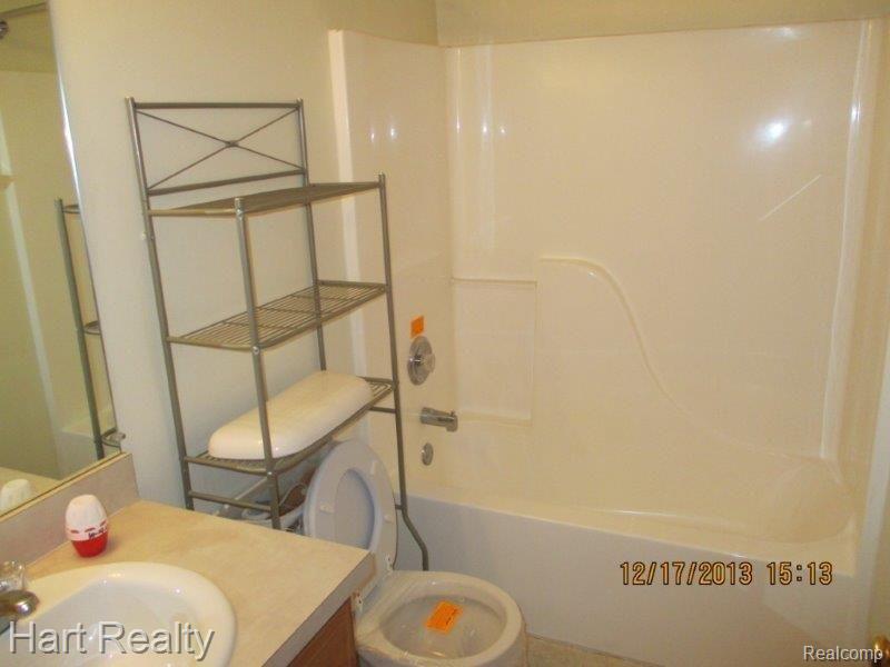 4614 Peck Road North Branch, MI 48461 - Photo 19 of 23 001 (2).jpg