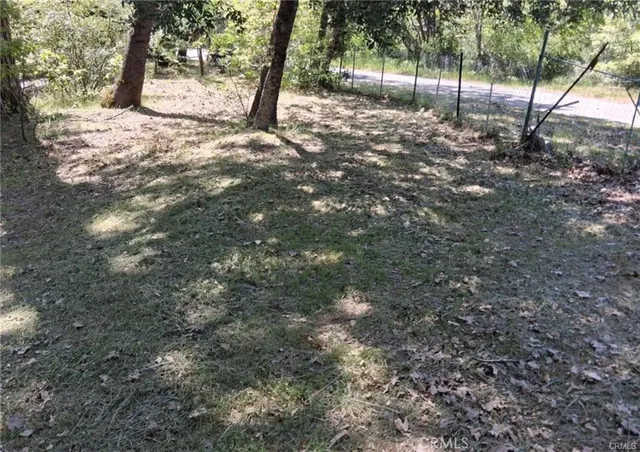 a view of a yard with tree s