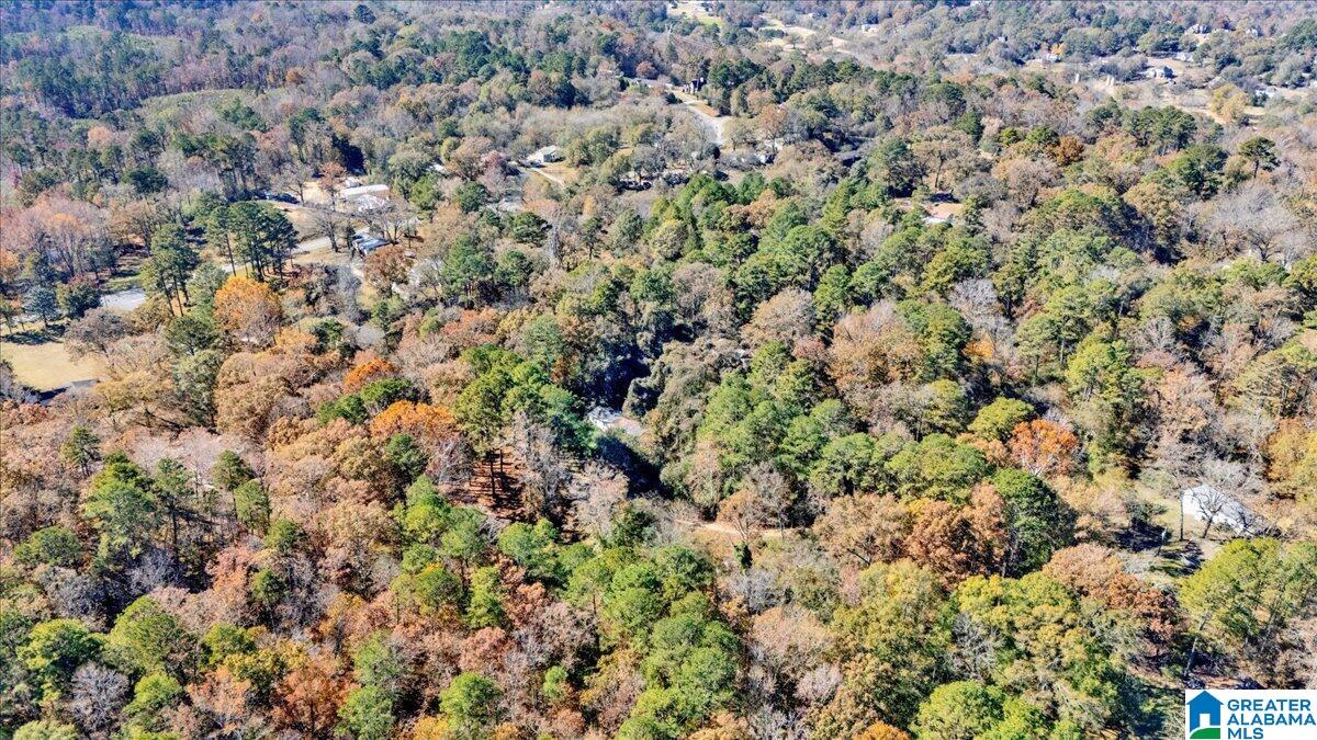 0 Hammock Road Trussville, AL 35173 - Photo 29 of 31