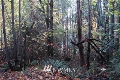 7795 Hansen Road Northeast Bainbridge Island, WA 98110 - Photo 1 of 1 Gallery Image 1