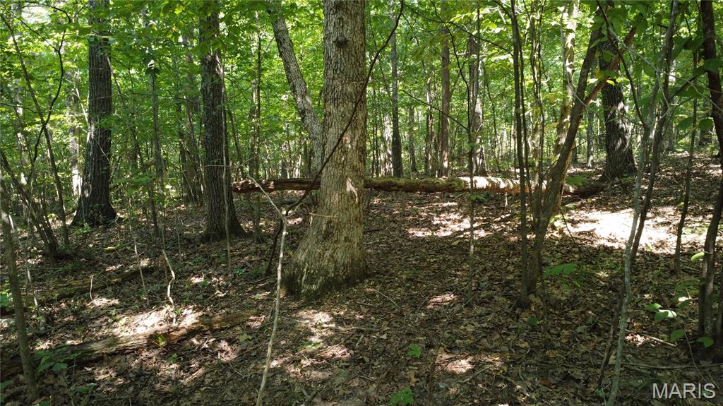 10021 Bugle Road Cadet, MO 63630 - Photo 45 of 50 Gallery Image 45