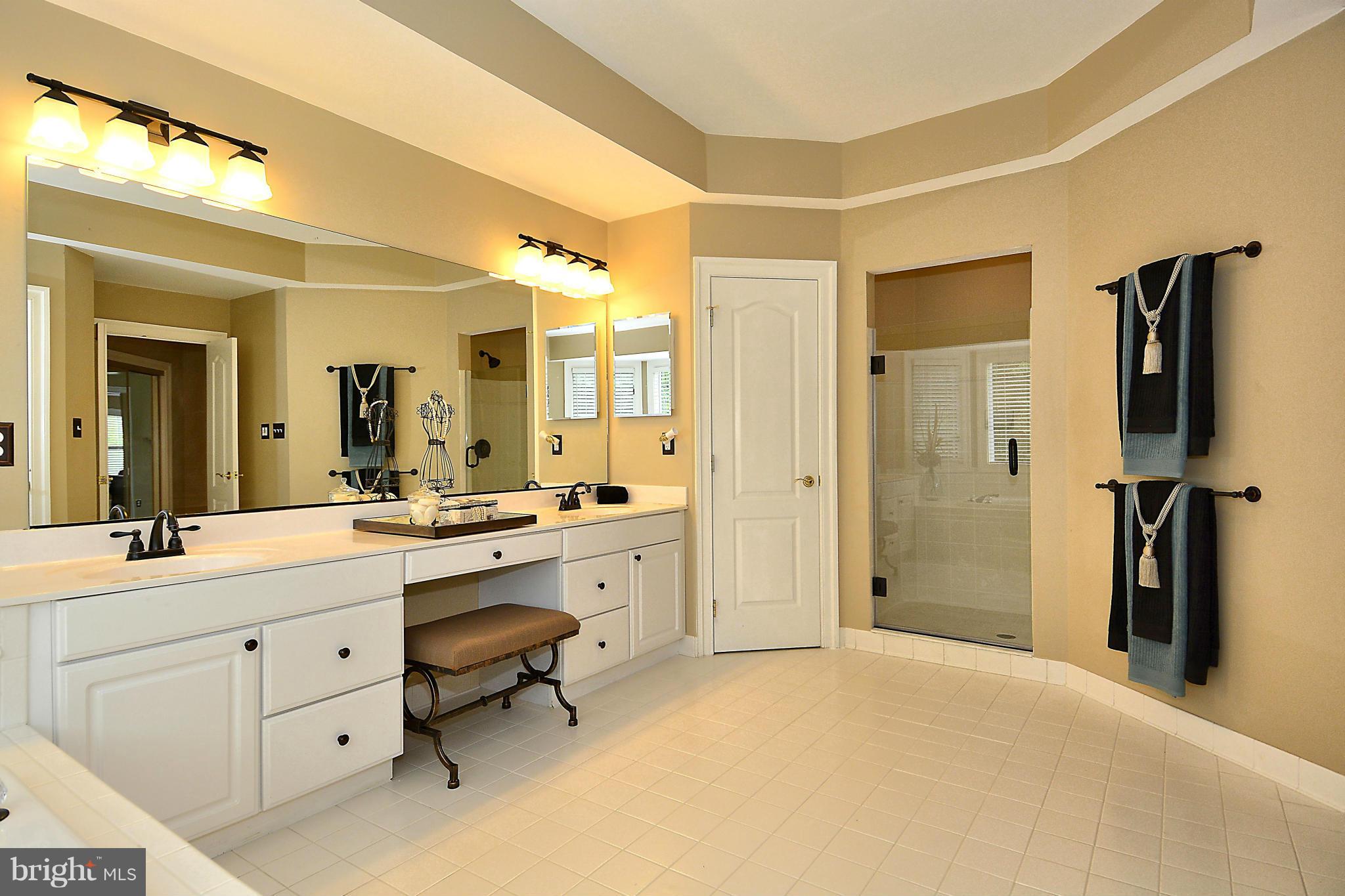 10775 Riverscape Run Great Falls, VA 22066 - Photo 15 of 30 Bath (Master)